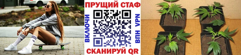 Купить наркотики цена Гремячинск Галлюциногенные грибы  Кокаин  APVP 