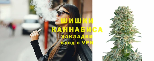 таблы Бородино