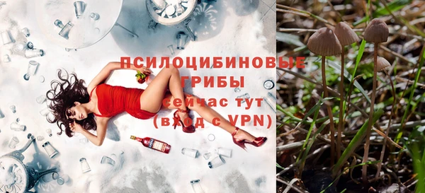 ГАЛЛЮЦИНОГЕННЫЕ ГРИБЫ Богородицк