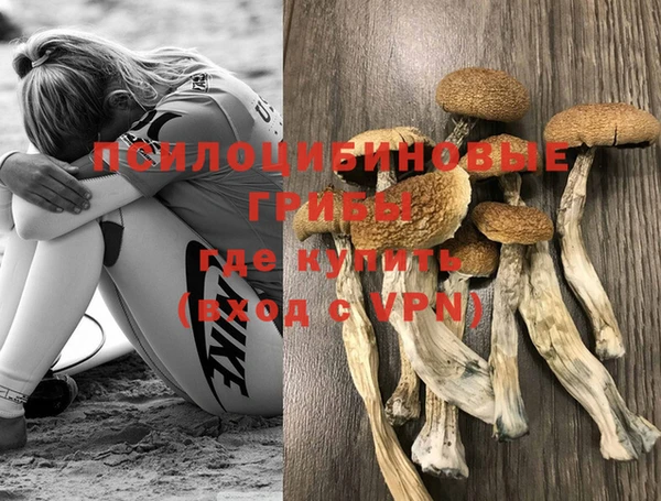ГАЛЛЮЦИНОГЕННЫЕ ГРИБЫ Богородицк