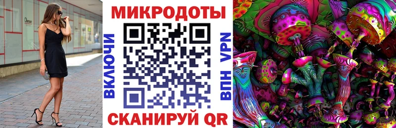 маркетплейс официальный сайт  где купить   Гремячинск  Псилоцибиновые грибы Psilocybe 